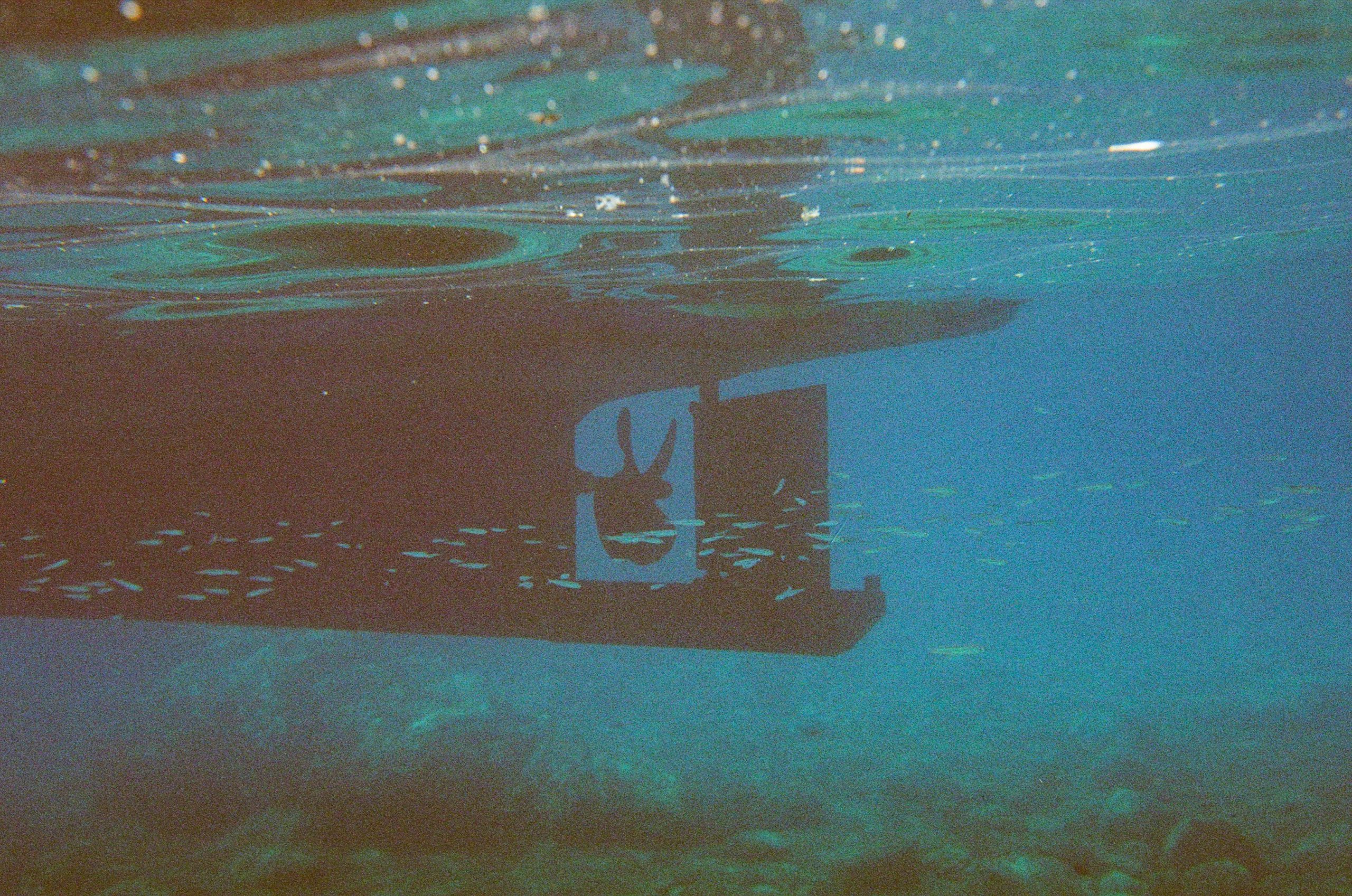 alexandra smielova ahyq9rpzwpw unsplash