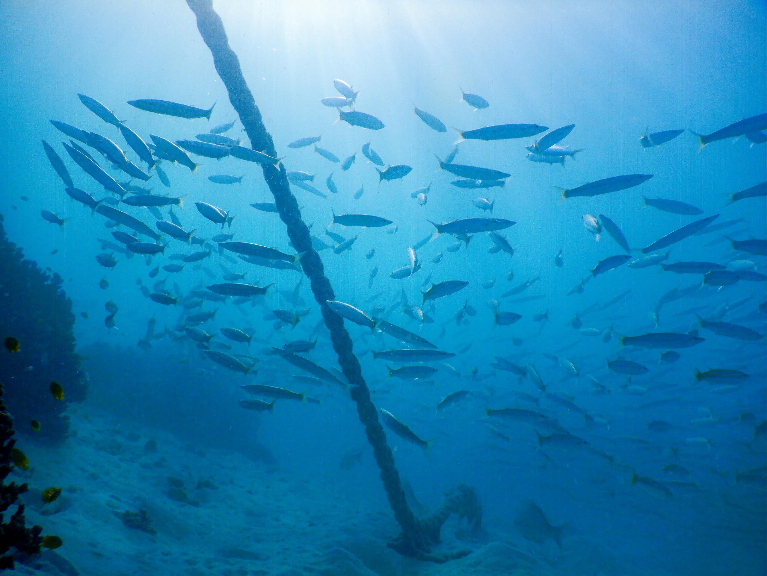 pexels elliotconnor 7082801